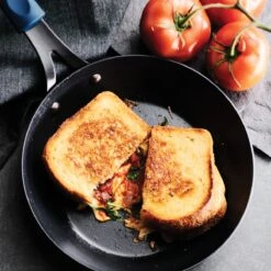 Tramontina 8.5 In Carbon Steel Fry Pan - With Silicone Grip -Tramontina Sales Store 80111000IXM002G