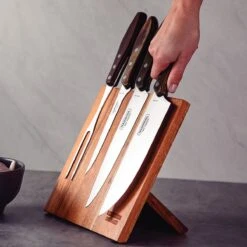 Tramontina Churrasco BBQ 5 Pc Cutlery Set With Magnetic Block 18 Tramontina Churrasco BBQ 5 Pc Cutlery Set With Magnetic Block -Tramontina Sales Store 80905021IXM002G
