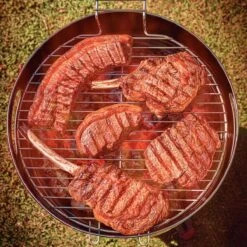 Tramontina 15.5 In Stainless Steel Round BBQ Charcoal Grill With Lid -Tramontina Sales Store 80905033IXM010G